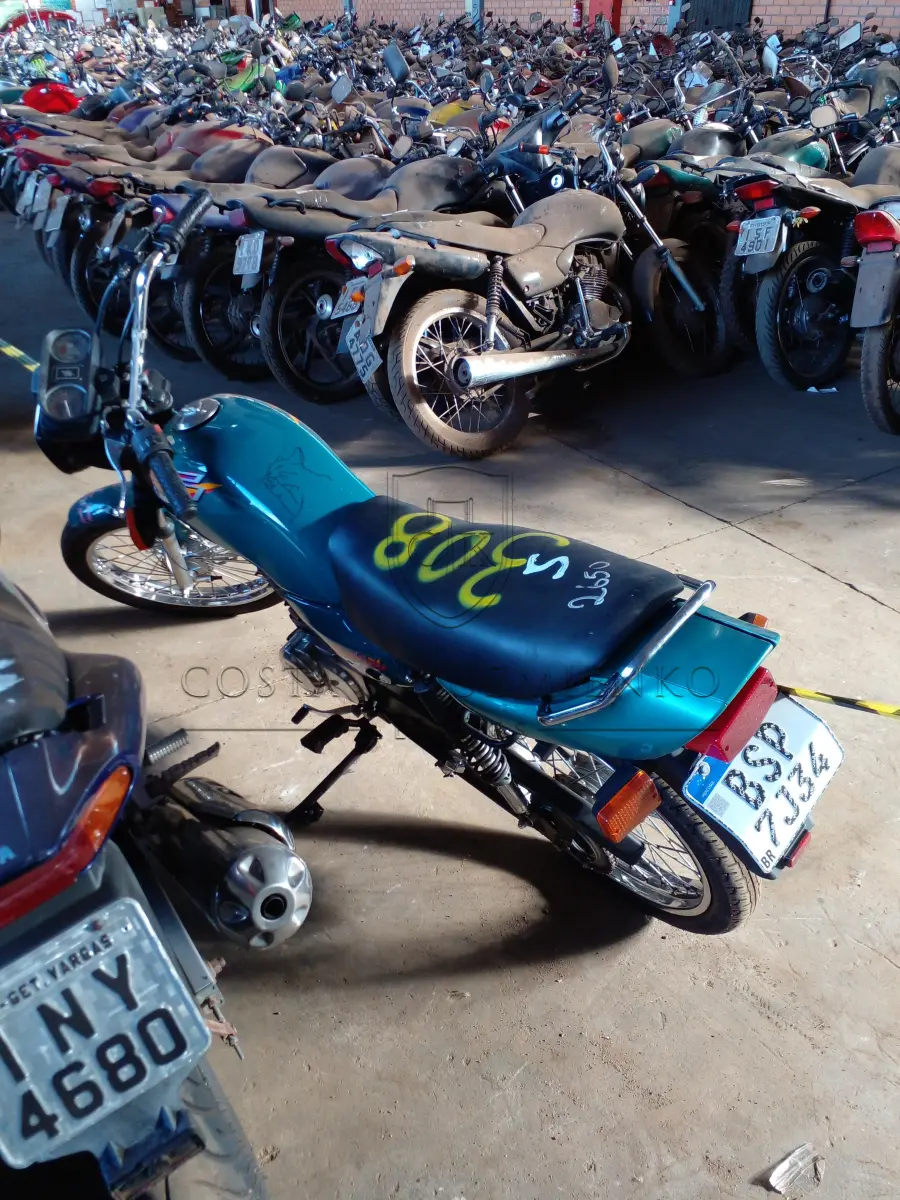 LOTE 0308