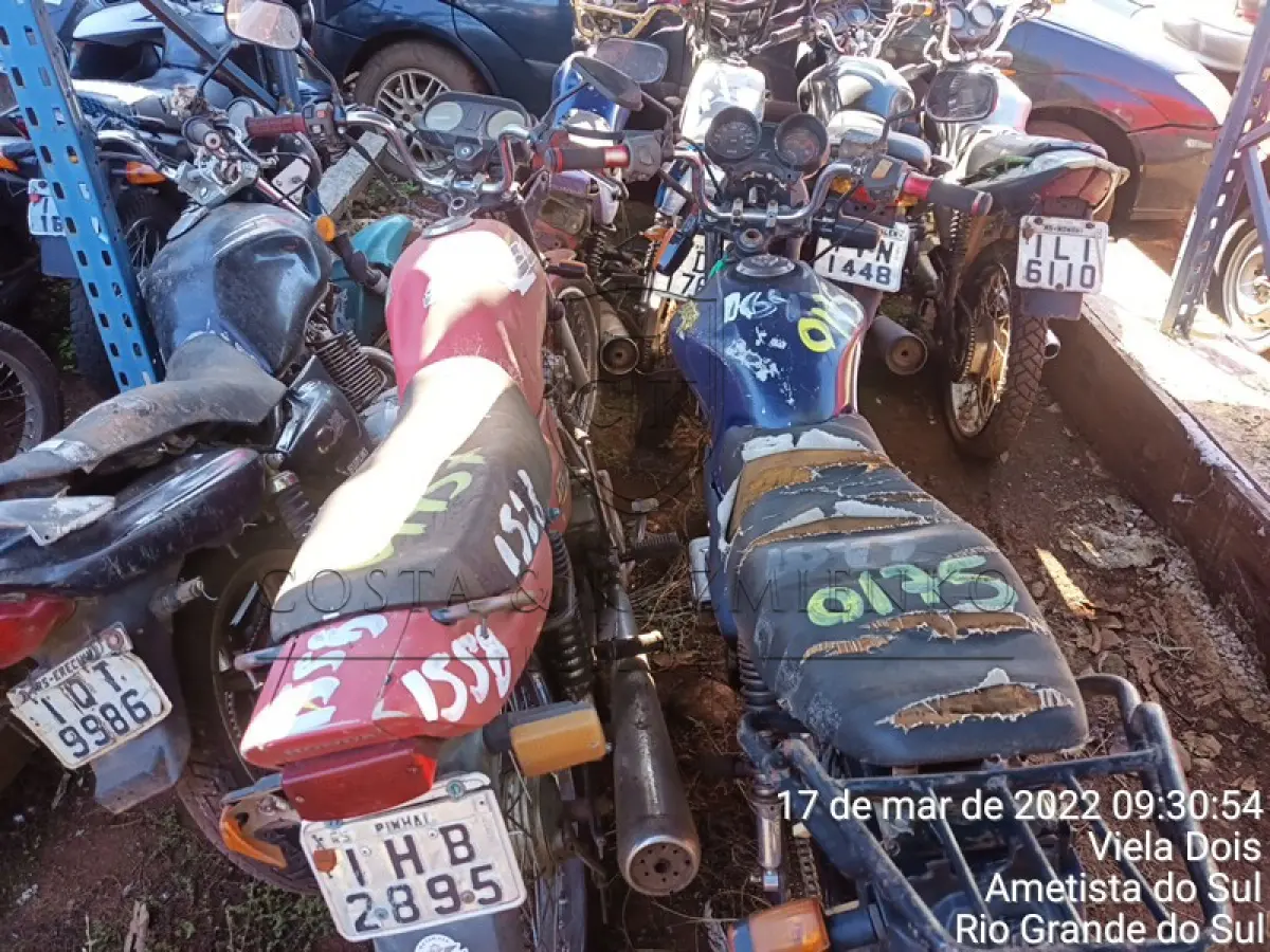 LOTE 0175
