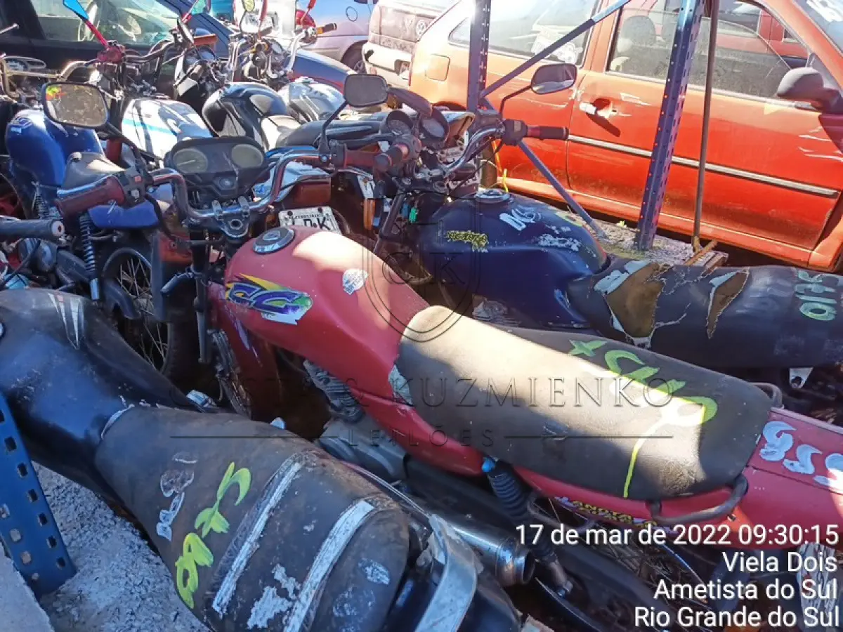 LOTE 0175