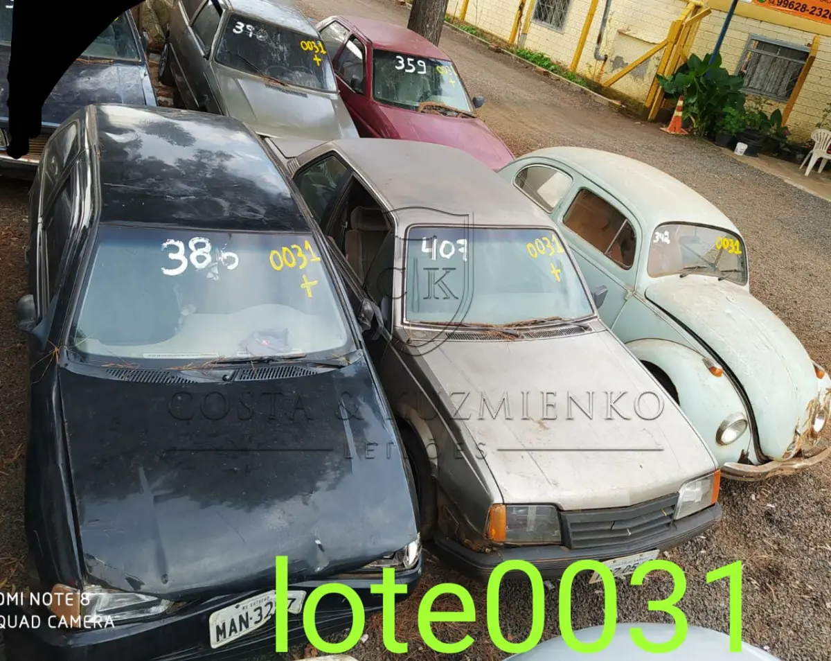 LOTE 0031