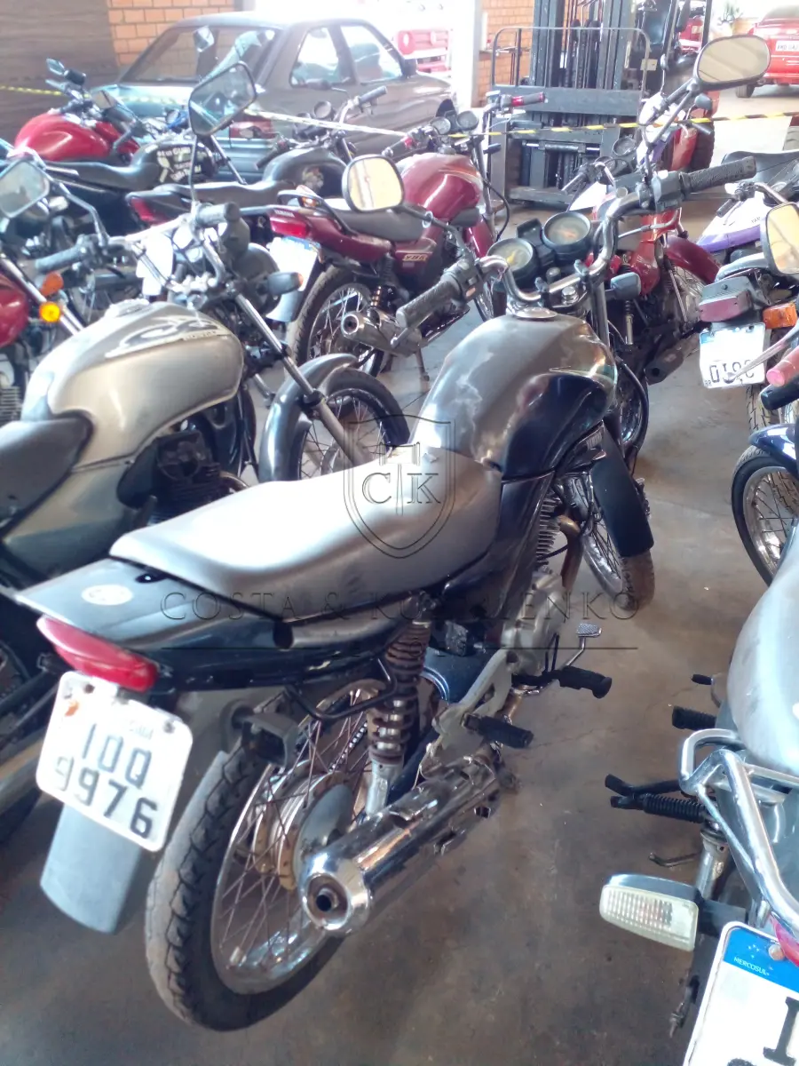 LOTE 0291
