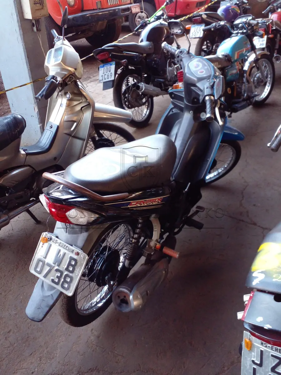 LOTE 0303