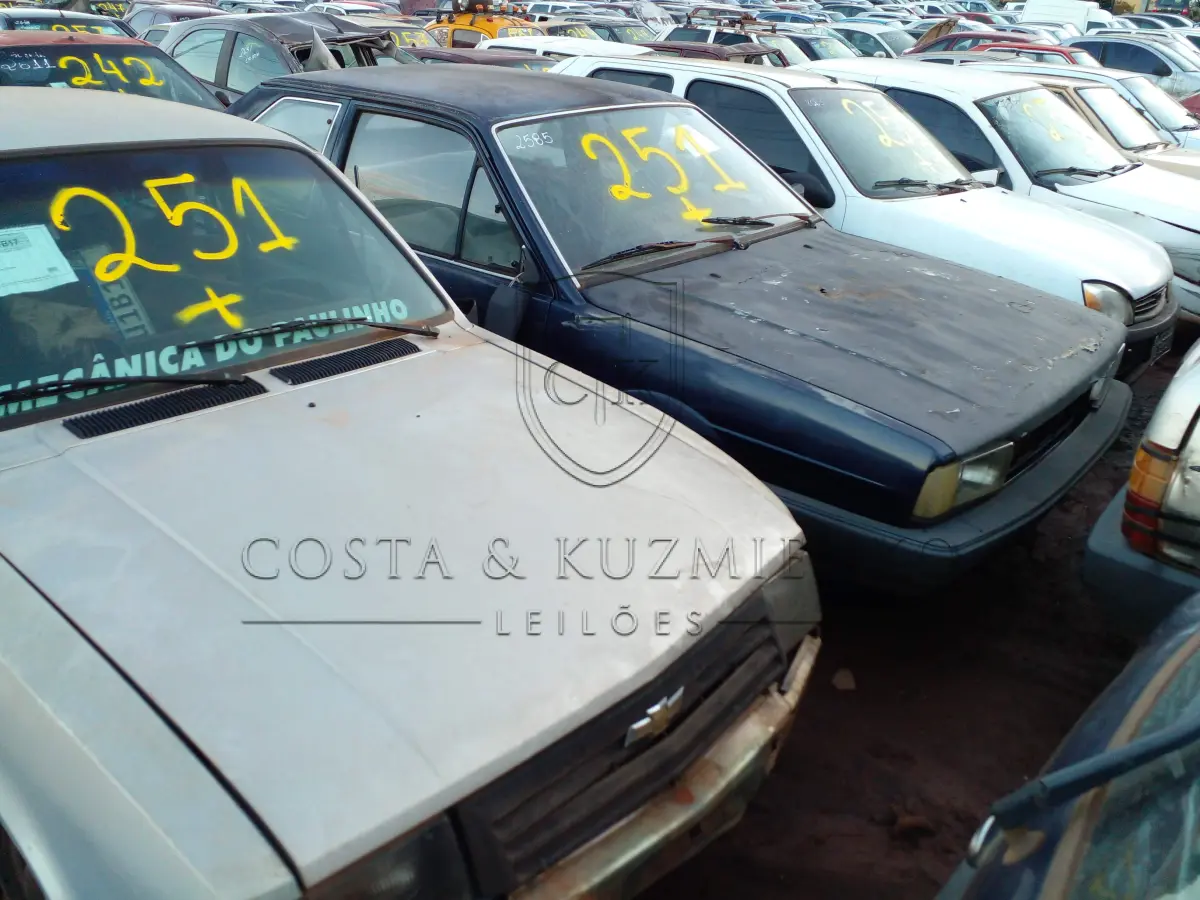 LOTE 0251