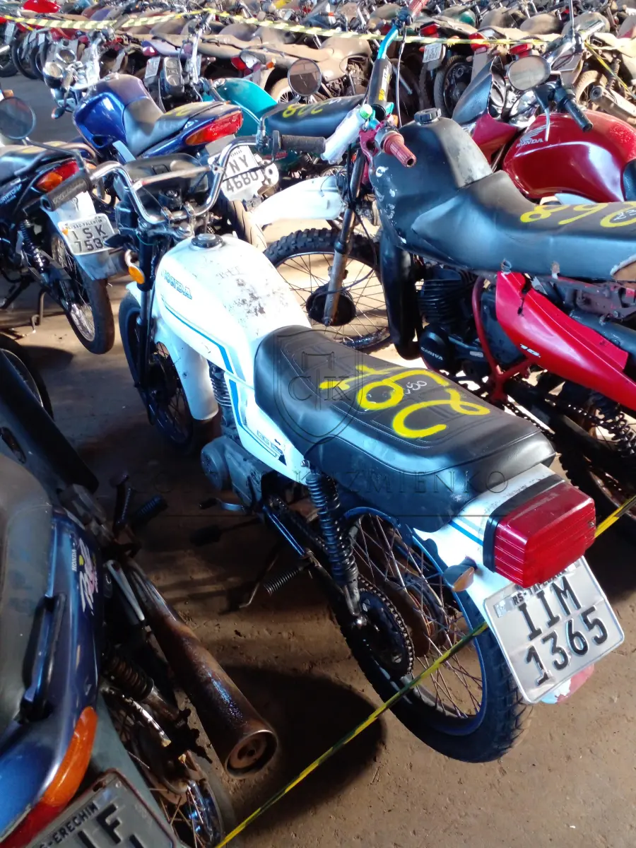 LOTE 0297