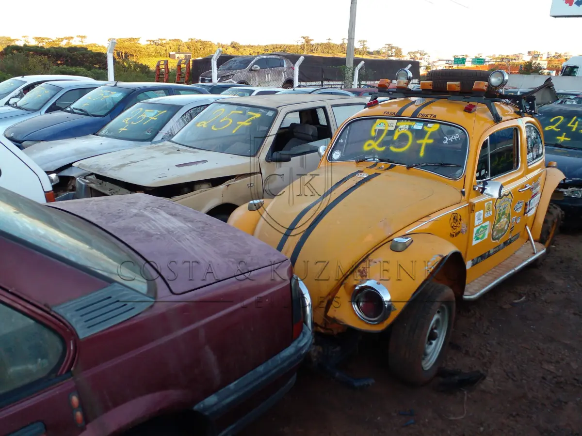 LOTE 0257