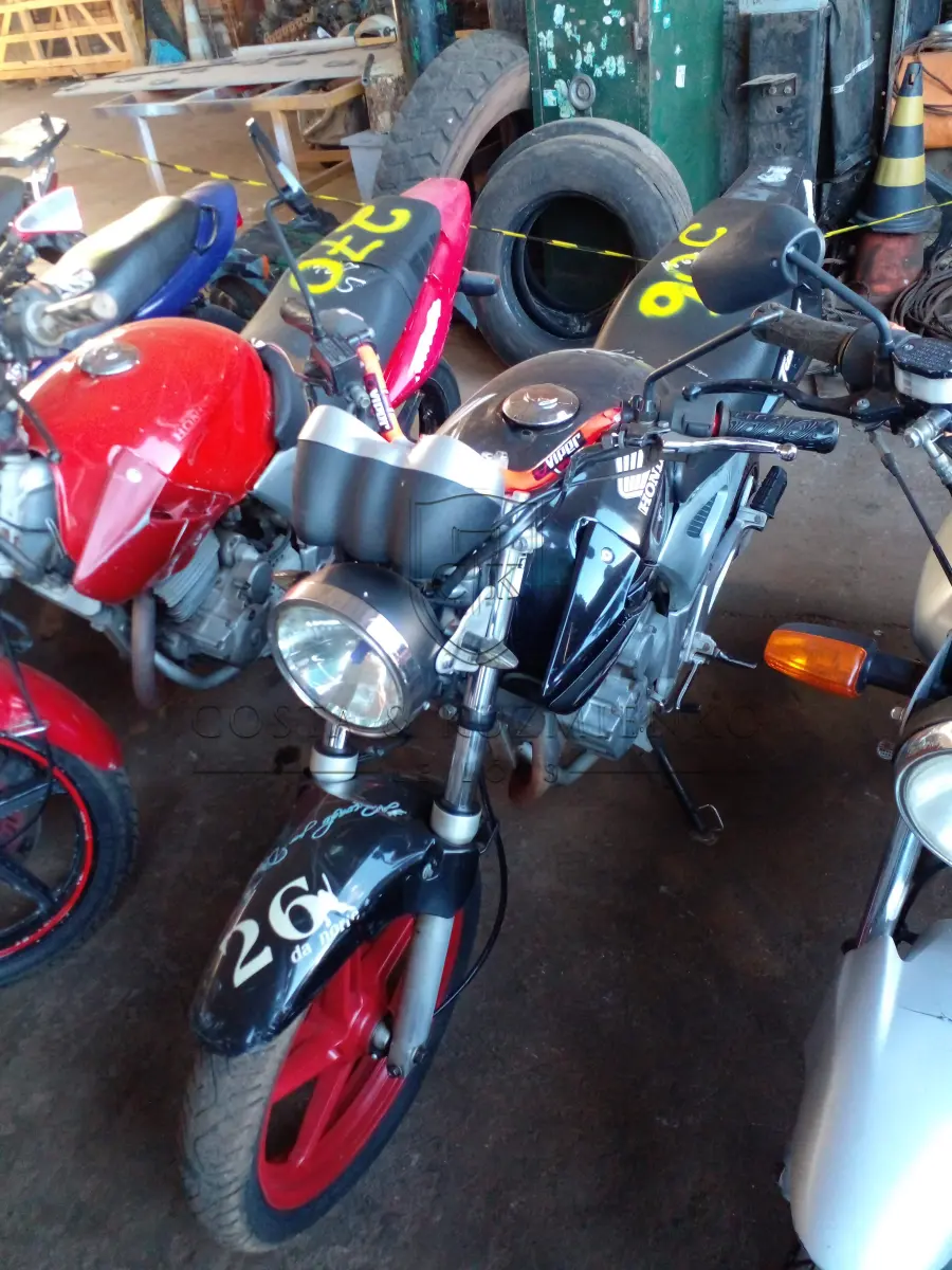 LOTE 0306