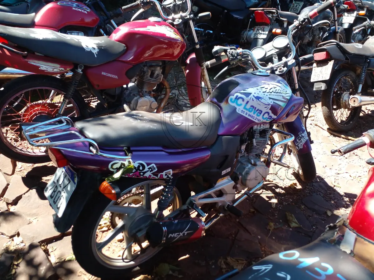 LOTE 0131