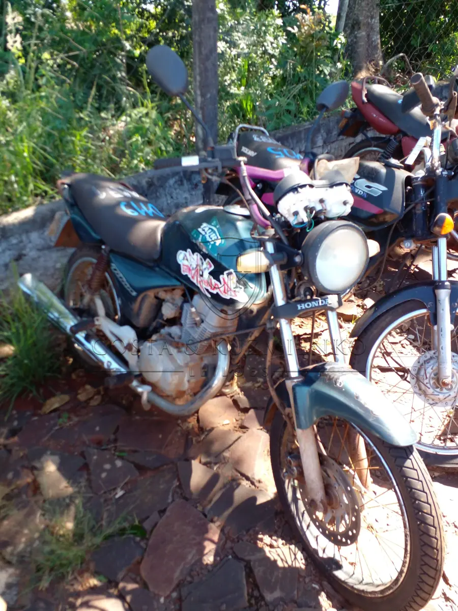 LOTE 0119