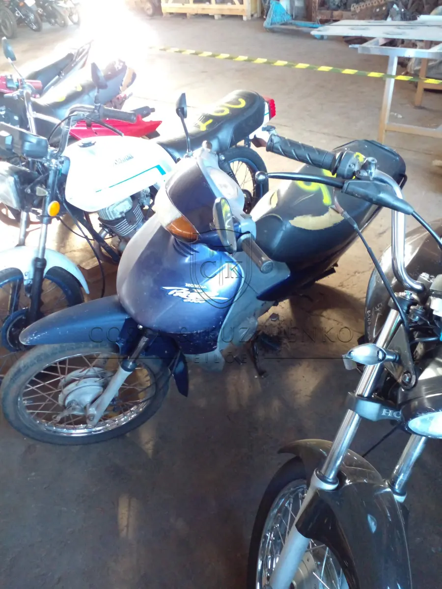 LOTE 0266