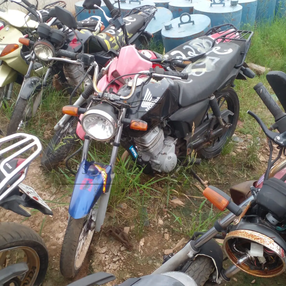 LOTE 0177