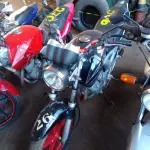 Foto 1