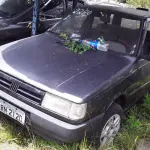 Foto 19