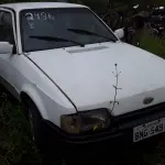 Foto 23