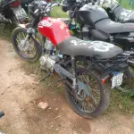 Foto 2