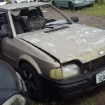 Foto 15