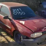 Foto 15