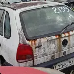 Foto 19