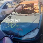 Foto 15