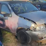 Foto 12