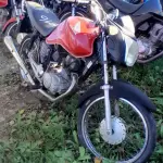 Foto 2