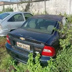 Foto 7