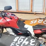 Foto 4